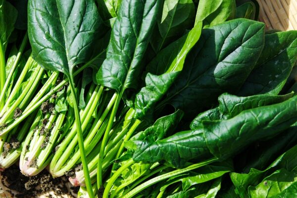 Exploring the Impact of Spinach on Sexual Health and Vitality