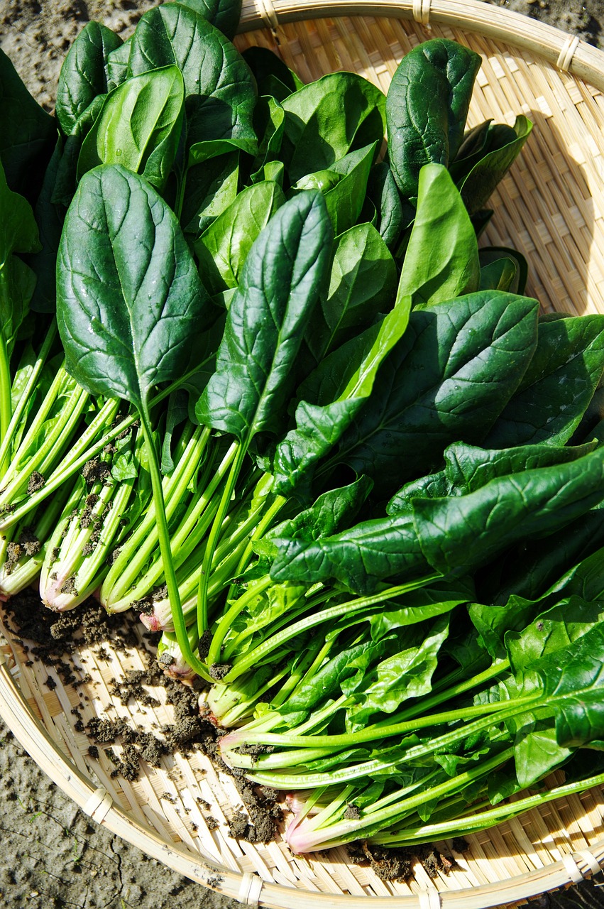 Exploring the Impact of Spinach on Sexual Health and Vitality